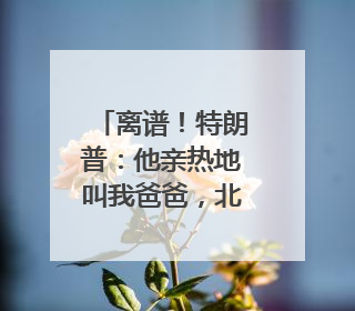 离谱！特朗普：他亲热地叫我爸爸，北约秘书长：我没有