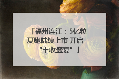 福州连江：5亿粒夏鲍陆续上市 开启“丰收盛宴”
