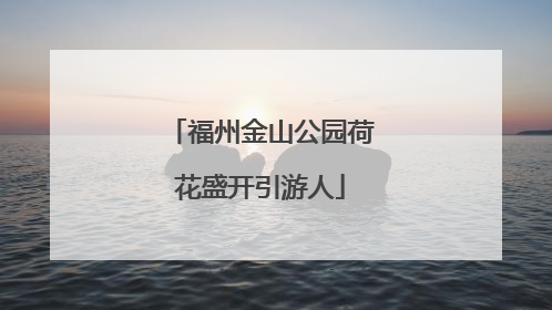 福州金山公园荷花盛开引游人