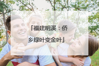 福建明溪：侨乡绿叶变金叶
