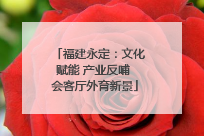 福建永定：文化赋能 产业反哺 会客厅外育新景