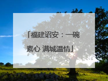 福建诏安：一碗素心 满城温情