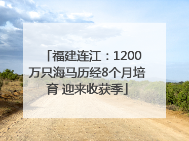 福建连江：1200万只海马历经8个月培育 迎来收获季