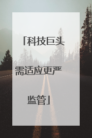 科技巨头需适应更严监管