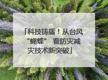 科技铸盾！从台风“蝴蝶” 看防灾减灾技术新突破
