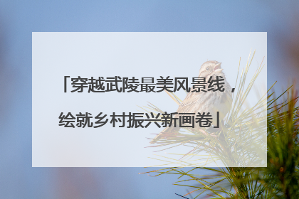 穿越武陵最美风景线，绘就乡村振兴新画卷