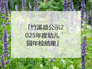 竹溪县公示2025年度幼儿园年检结果