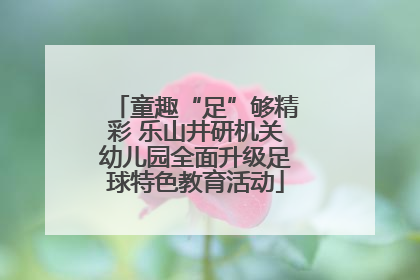 童趣“足”够精彩 乐山井研机关幼儿园全面升级足球特色教育活动