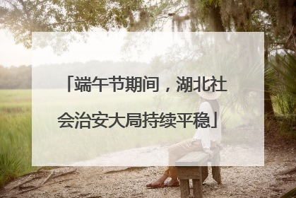 端午节期间，湖北社会治安大局持续平稳