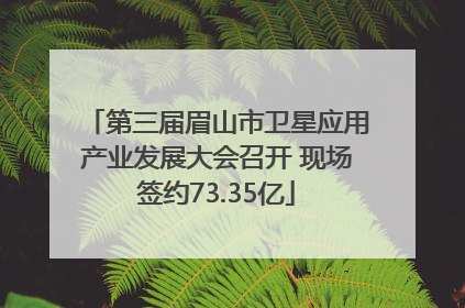 第三届眉山市卫星应用产业发展大会召开 现场签约73.35亿