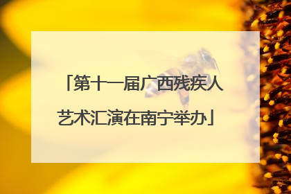 第十一届广西残疾人艺术汇演在南宁举办