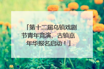 第十二届乌镇戏剧节青年竞演、古镇嘉年华报名启动！