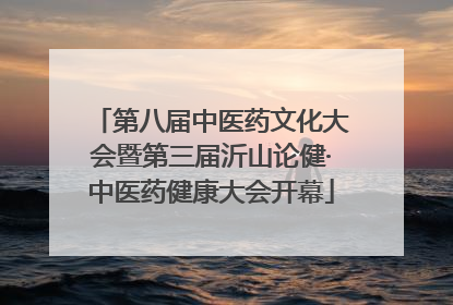 第八届中医药文化大会暨第三届沂山论健·中医药健康大会开幕