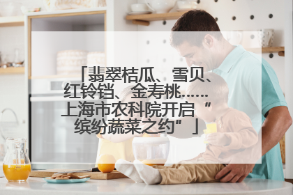 翡翠桔瓜、雪贝、红铃铛、金寿桃……上海市农科院开启“缤纷蔬菜之约”
