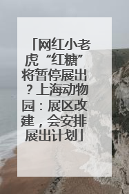 网红小老虎“红糖”将暂停展出？上海动物园：展区改建，会安排展出计划
