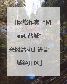网络作家“Meet 盐城”采风活动走进盐城经开区