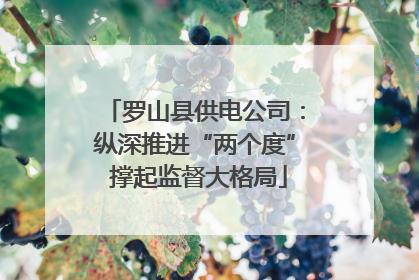 罗山县供电公司：纵深推进“两个度” 撑起监督大格局
