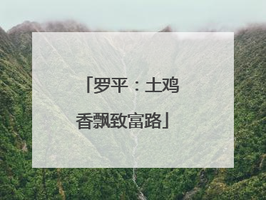 罗平：土鸡香飘致富路