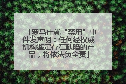 罗马仕就“禁用”事件发声明：任何经权威机构鉴定存在缺陷的产品，将依法负全责