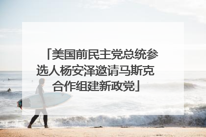 美国前民主党总统参选人杨安泽邀请马斯克合作组建新政党