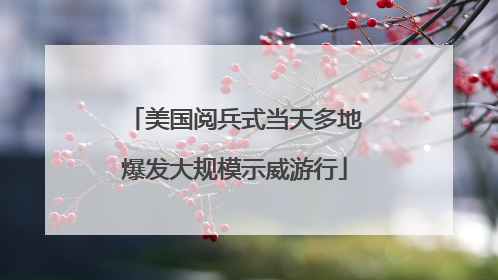 美国阅兵式当天多地爆发大规模示威游行