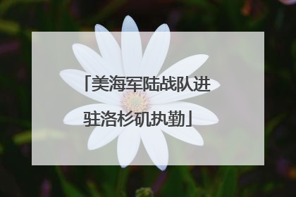 美海军陆战队进驻洛杉矶执勤