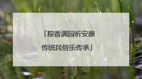 粽香满园祈安康 传统民俗乐传承
