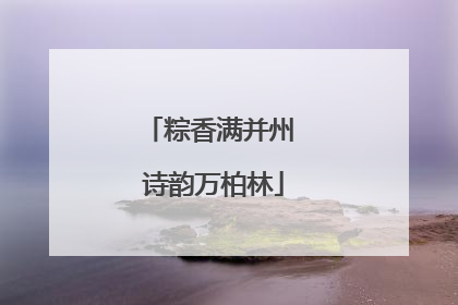 粽香满并州 诗韵万柏林