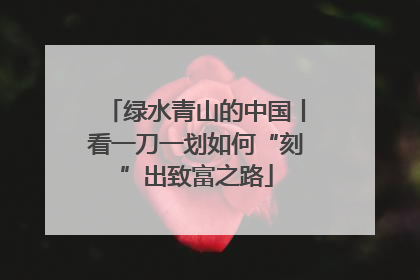 绿水青山的中国丨看一刀一划如何“刻”出致富之路