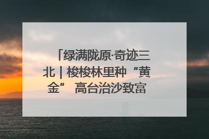 绿满陇原·奇迹三北｜梭梭林里种“黄金” 高台治沙致富很“从容”