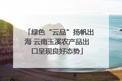 绿色“云品”扬帆出海 云南玉溪农产品出口呈现良好态势