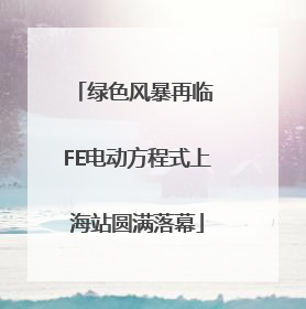 绿色风暴再临 FE电动方程式上海站圆满落幕