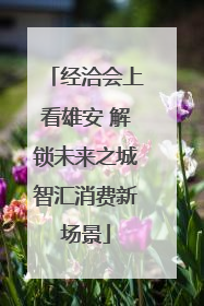 经洽会上看雄安 解锁未来之城智汇消费新场景