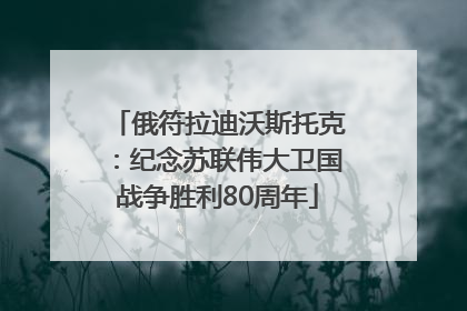 俄符拉迪沃斯托克：纪念苏联伟大卫国战争胜利80周年