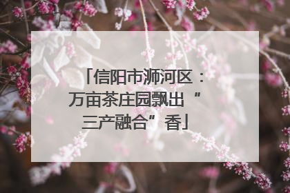 信阳市浉河区：万亩茶庄园飘出“三产融合”香