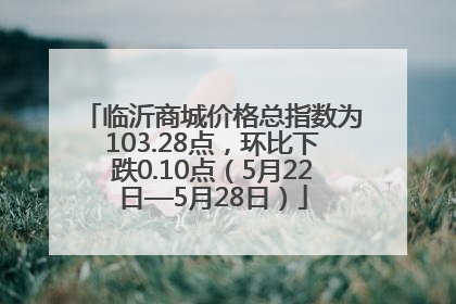 临沂商城价格总指数为103.28点，环比下跌0.10点（5月22日—5月28日）