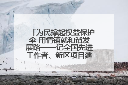 为民撑起权益保护伞 用情铺就和谐发展路——记全国先进工作者、新区项目建设中心干部卢小勇