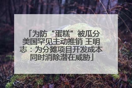 为防“蛋糕”被瓜分 美国罕见主动推销 王明志：为分摊项目开发成本同时消除潜在威胁