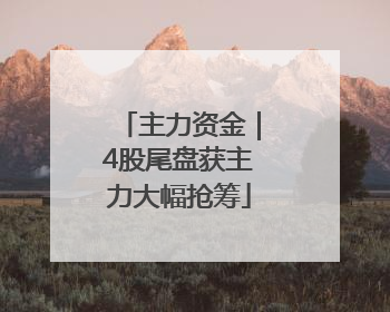 主力资金｜4股尾盘获主力大幅抢筹