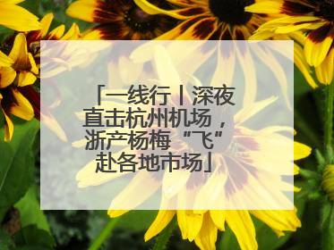 一线行丨深夜直击杭州机场，浙产杨梅“飞”赴各地市场