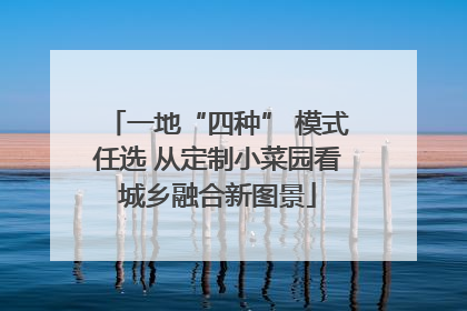 一地“四种” 模式任选 从定制小菜园看城乡融合新图景