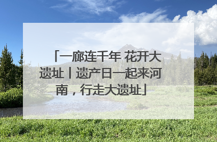 一廊连千年 花开大遗址丨遗产日一起来河南，行走大遗址