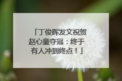 丁俊晖发文祝贺赵心童夺冠：终于有人冲到终点！