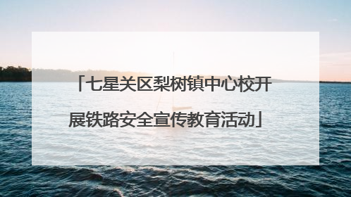 七星关区梨树镇中心校开展铁路安全宣传教育活动