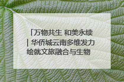 万物共生 和美永续｜华侨城云南多维发力 绘就文旅融合与生物多样性保护新图景