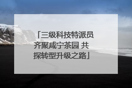 三级科技特派员齐聚咸宁茶园 共探转型升级之路