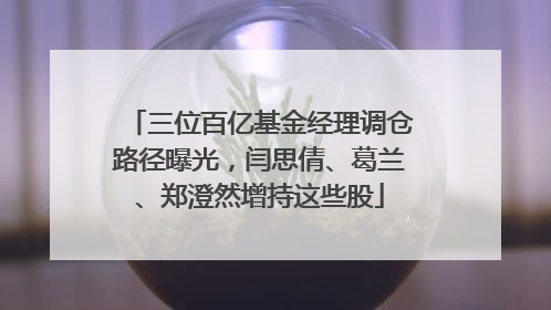 三位百亿基金经理调仓路径曝光，闫思倩、葛兰、郑澄然增持这些股