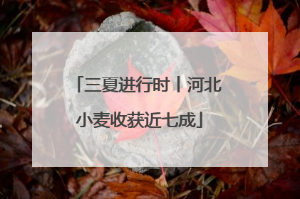 三夏进行时丨河北小麦收获近七成