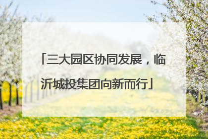 三大园区协同发展，临沂城投集团向新而行