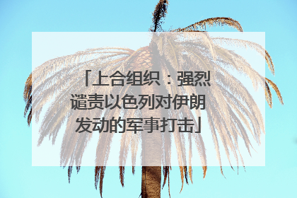 上合组织：强烈谴责以色列对伊朗发动的军事打击